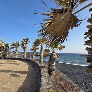 Un paseo marítimo bordeado de palmeras y un muro de piedra, que conduce al mar.