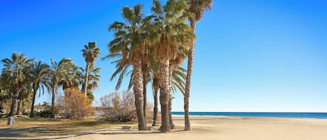 Plage à proximité