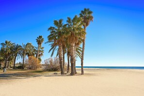 Een zandstrand met palmbomen en een helderblauwe lucht.