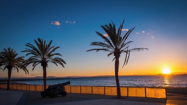 Tramonto con palme e un cannone su un viale lastricato vicino al mare.