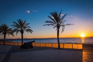 Ein Sonnenuntergang mit Palmen und einer Kanone entlang eines gepflasterten Weges am Meer.