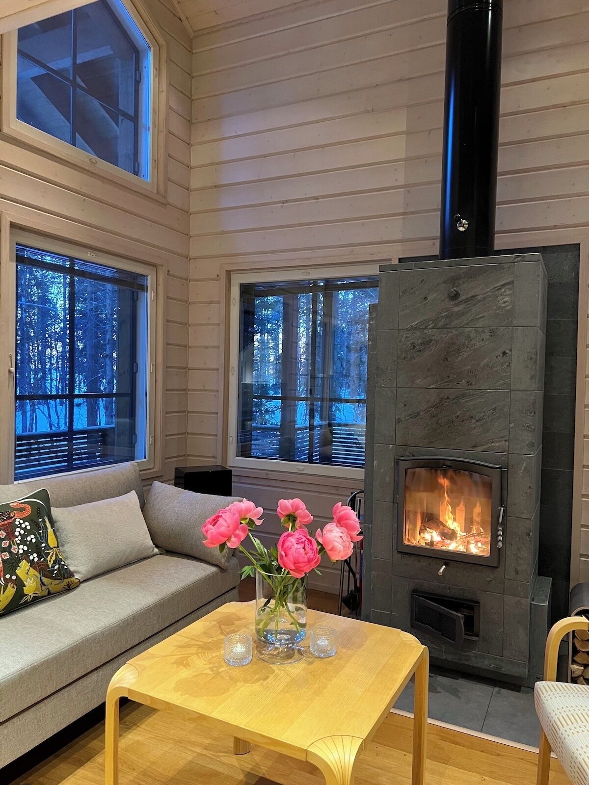 Smart-tv och eldstad