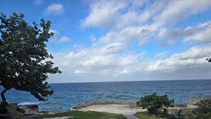 En kyststi med bænk og træ, der fører ned til havet.