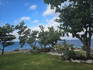 Un paisaje costero con árboles, un área de césped y vistas al mar.