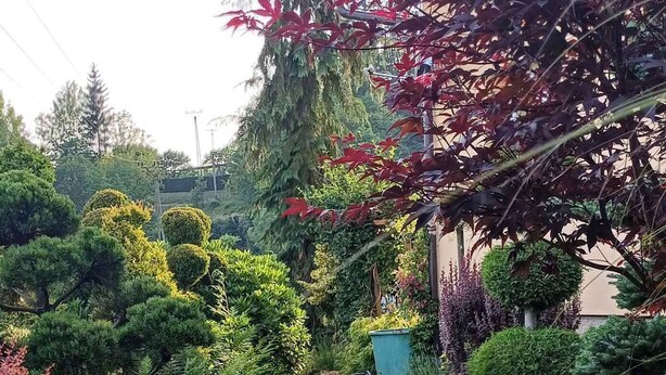 Un chemin de pierres qui traverse un jardin agrémenté de divers arbustes et arbres.