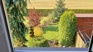 Une vue par une fenêtre, avec une plante en pot posée sur une surface en bois.