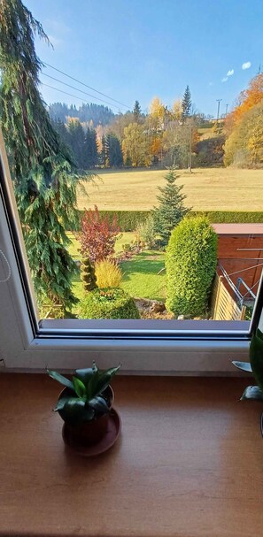 Interior - Holiday apartment Apartment Fischer (Tanvald)