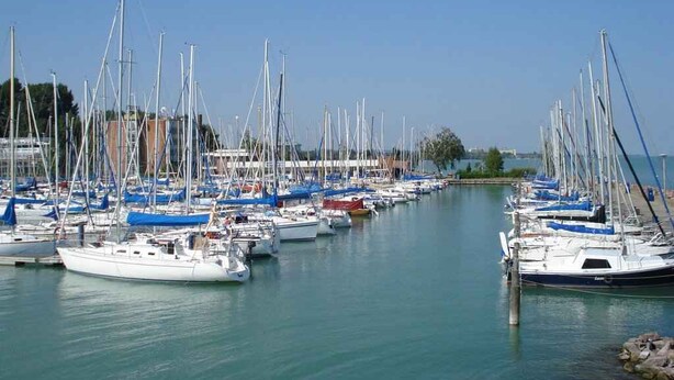 A marina with multiple sailboats docked in calm waters.