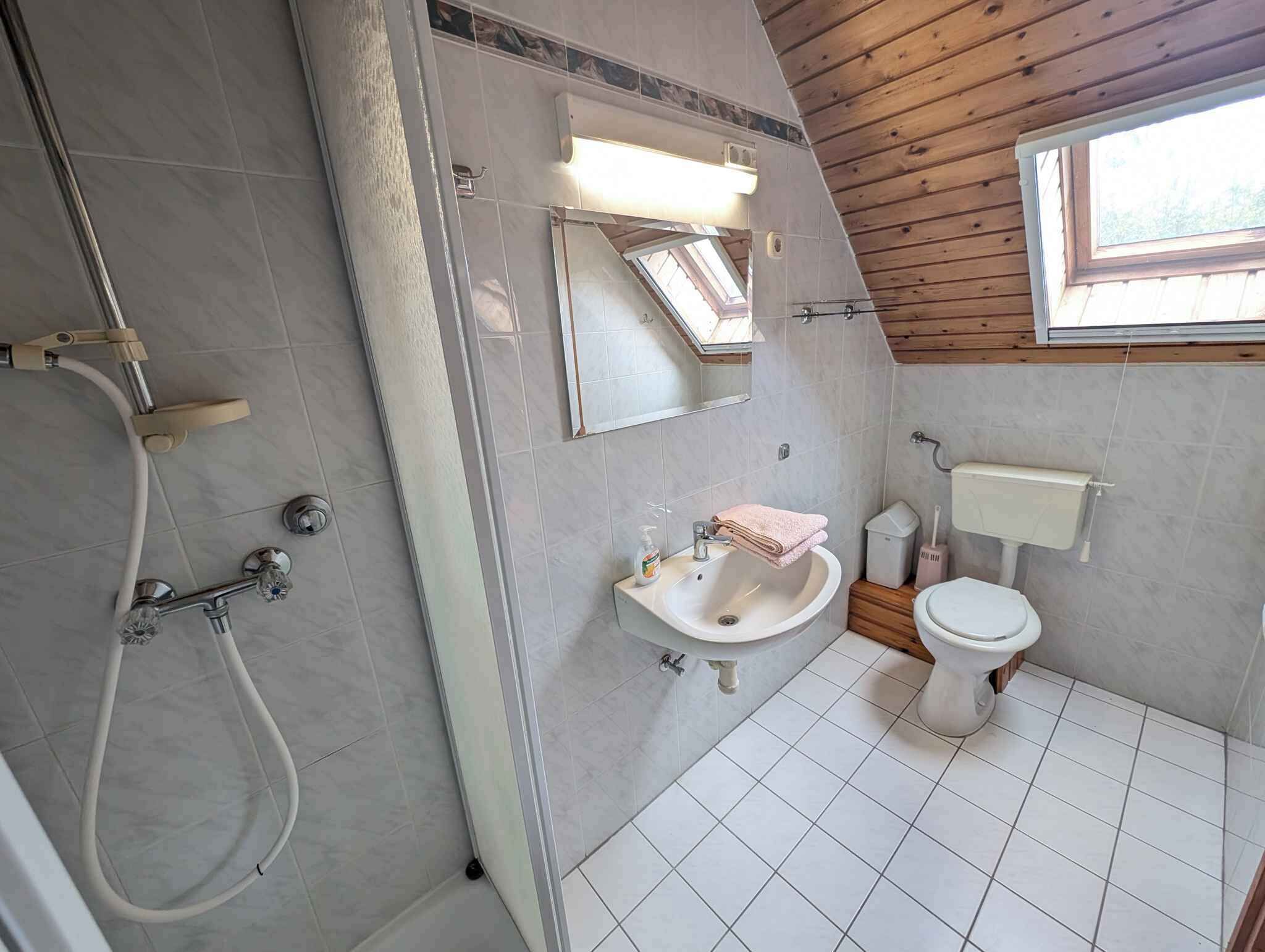 A bathroom with a shower, sink, toilet, and skylight.