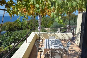 Terraza con mesa y sillas, con vistas a un viñedo y el mar.