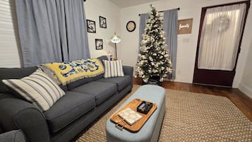 Smart TV, fireplace, DVD player, books