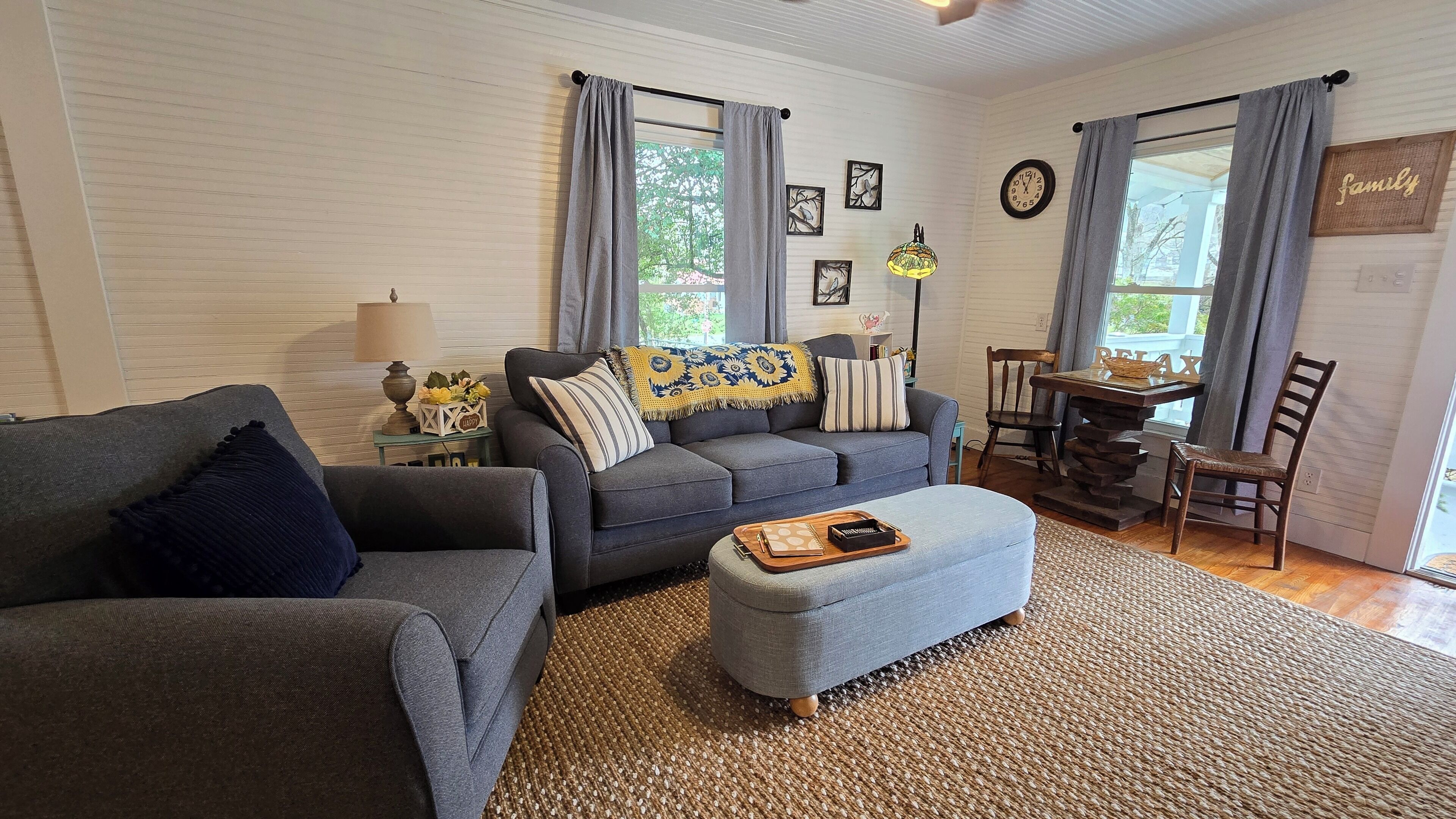 TV connectée, cheminée, lecteur de DVD, livres