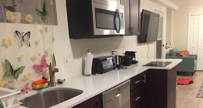NE DC LUX 2BR New Stylish Modern Sunny lowerApt