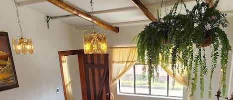 1 chambre, Wi-Fi