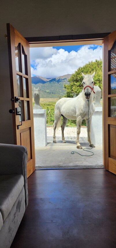 COUNTRY HOUSE IN CUICOCHA LAKE COTACACHI IMBABURA ECUADOR