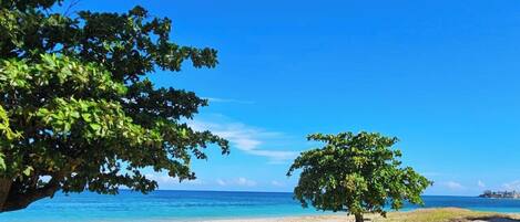 Toalhas de praia