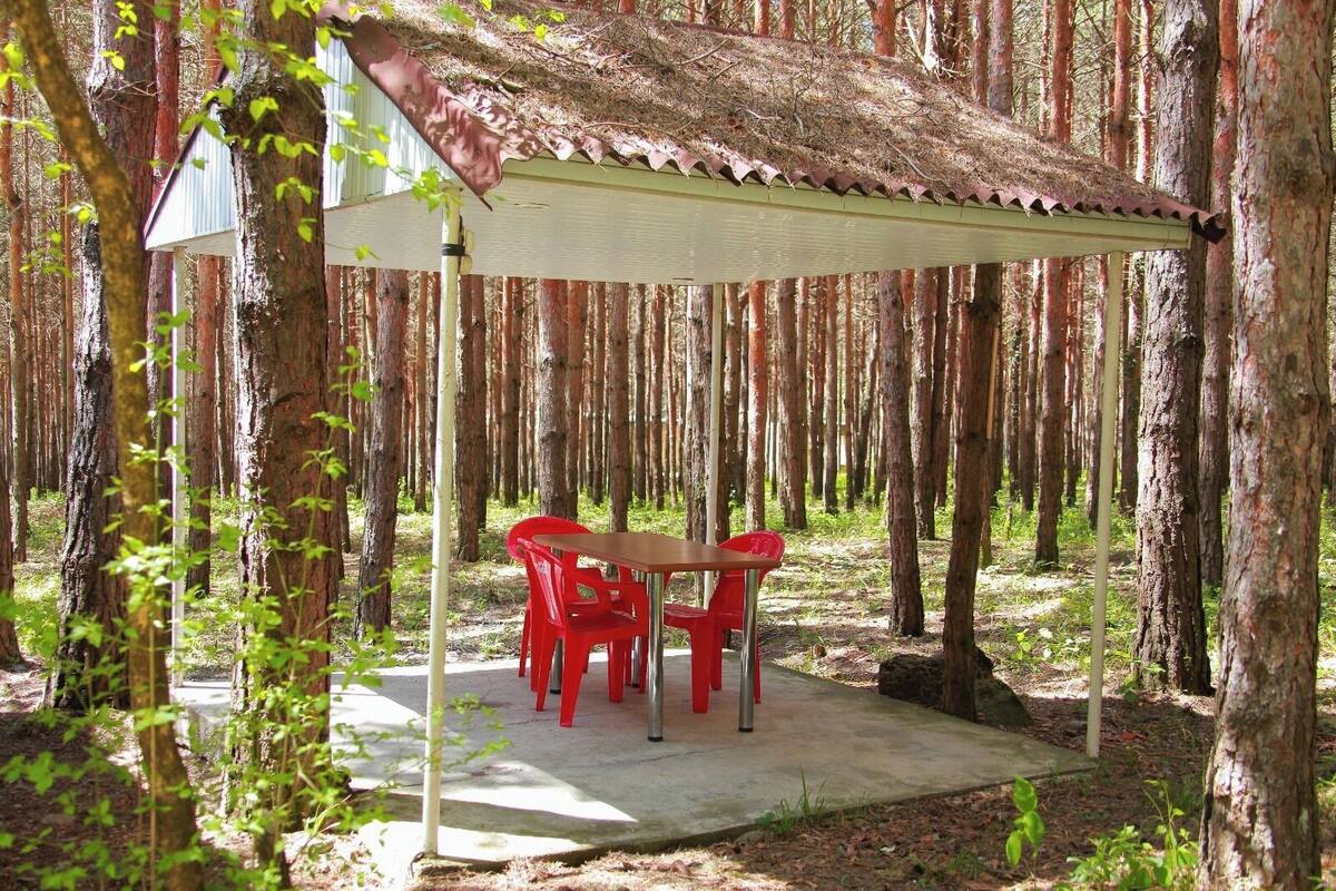A covered outdoor seating area with a table and chairs in a forest setting.