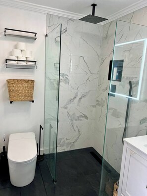 Shower, hair dryer, bidet, towels