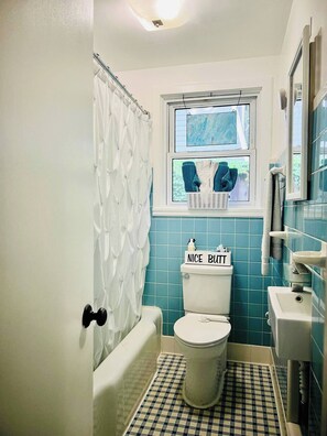 Shower, hair dryer, bidet, towels