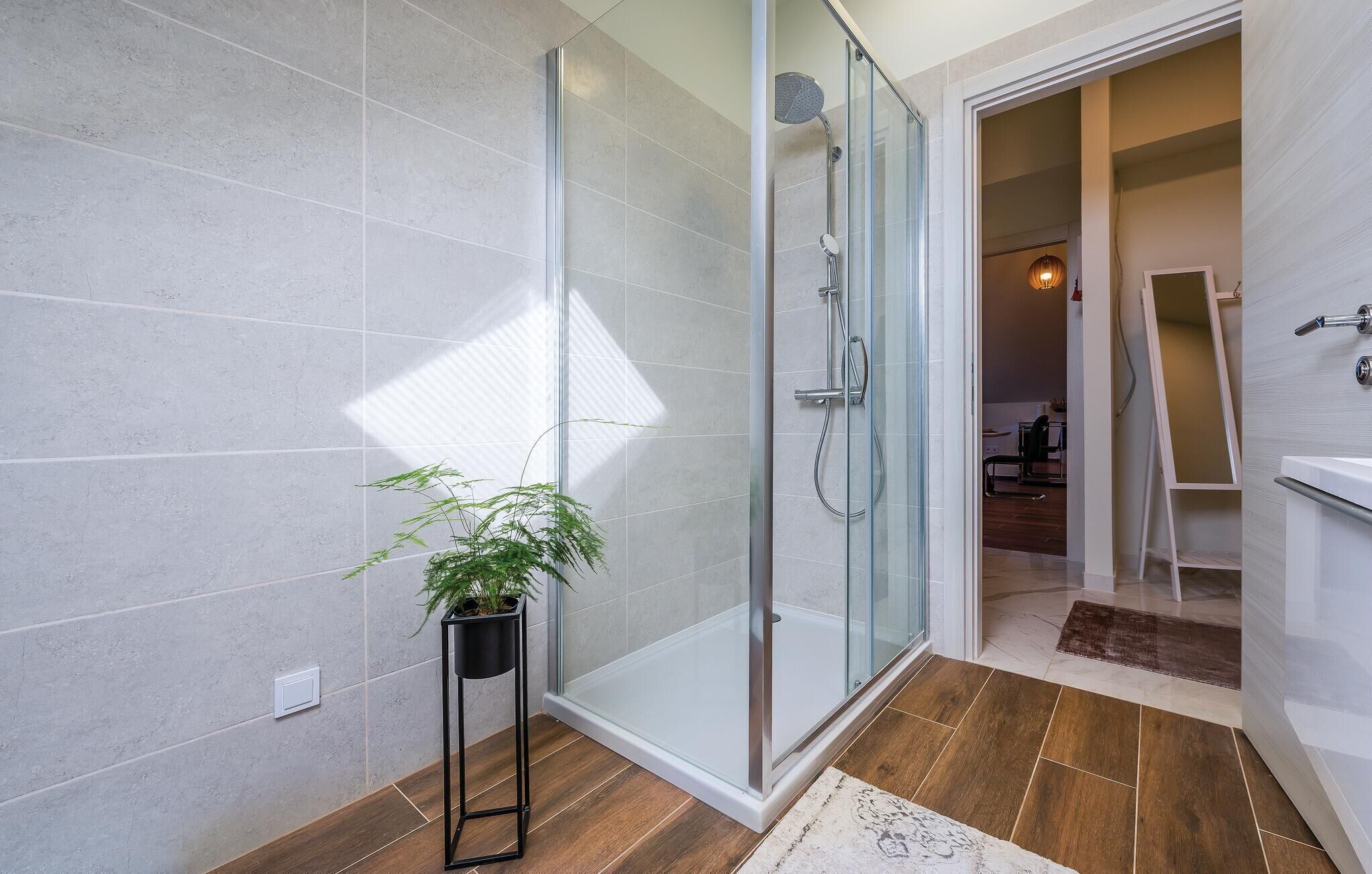 Shower, hair dryer