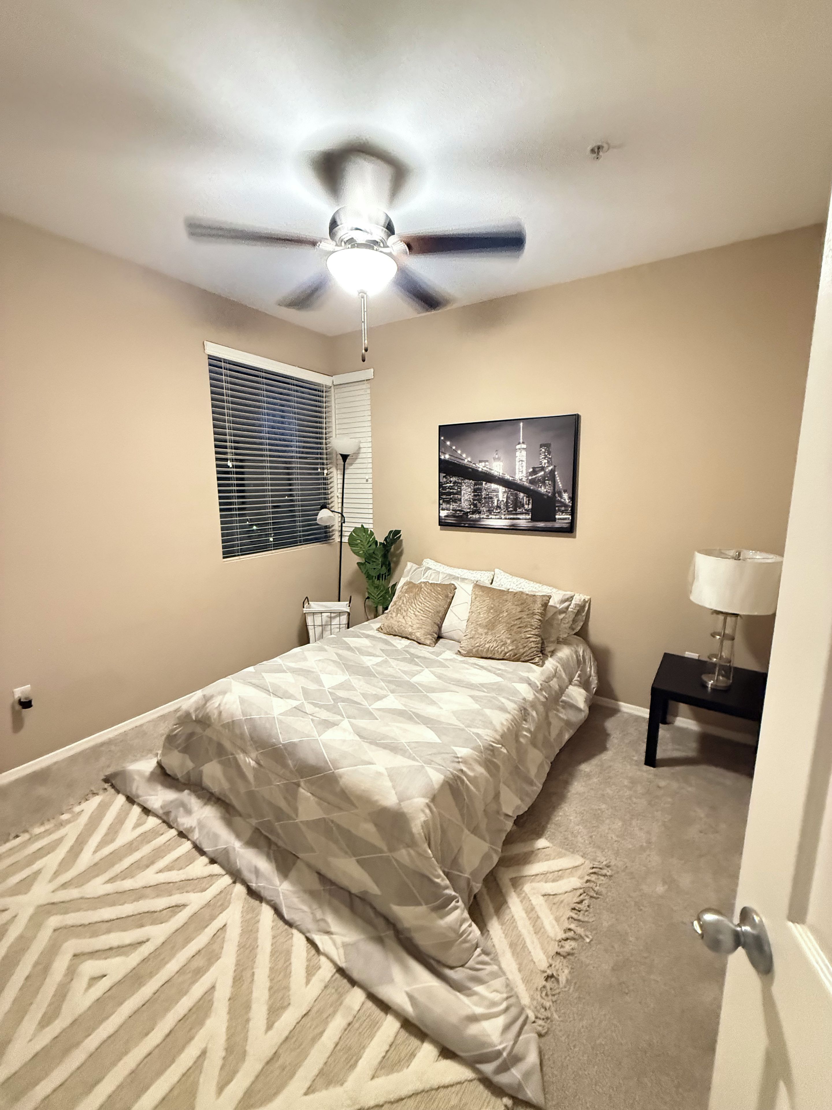 A bedroom with a bed, a ceiling fan, a window with blinds, a wall-mounted picture, a nightstand with a lamp, and a carpet.