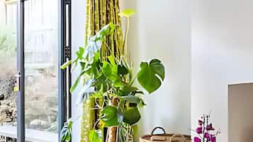 DĂ©tail de lâextĂ©rieur