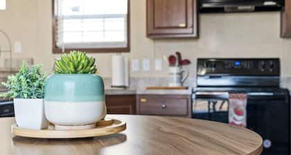 Welcoming Warren Home for 4!