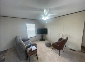Televisor