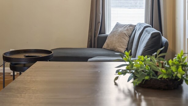 A modern living room with a sofa, a coffee table, and a plant. - Apartment with Private Fenced Yard | Pets Welcome (Fort Wayne)