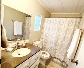 Shower, hair dryer, towels