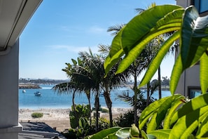 A view of a beach with palm trees and a clear blue sky. - Bayfront 1-BR with Stunning View Steps to the Sand and Free Parking (San Diego)