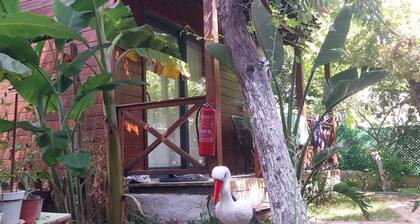 Denizim apart bungalov