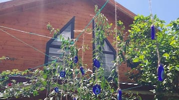 Bungalow dành cho gia đình, quang cảnh vườn | Khuôn viên nơi lưu trú