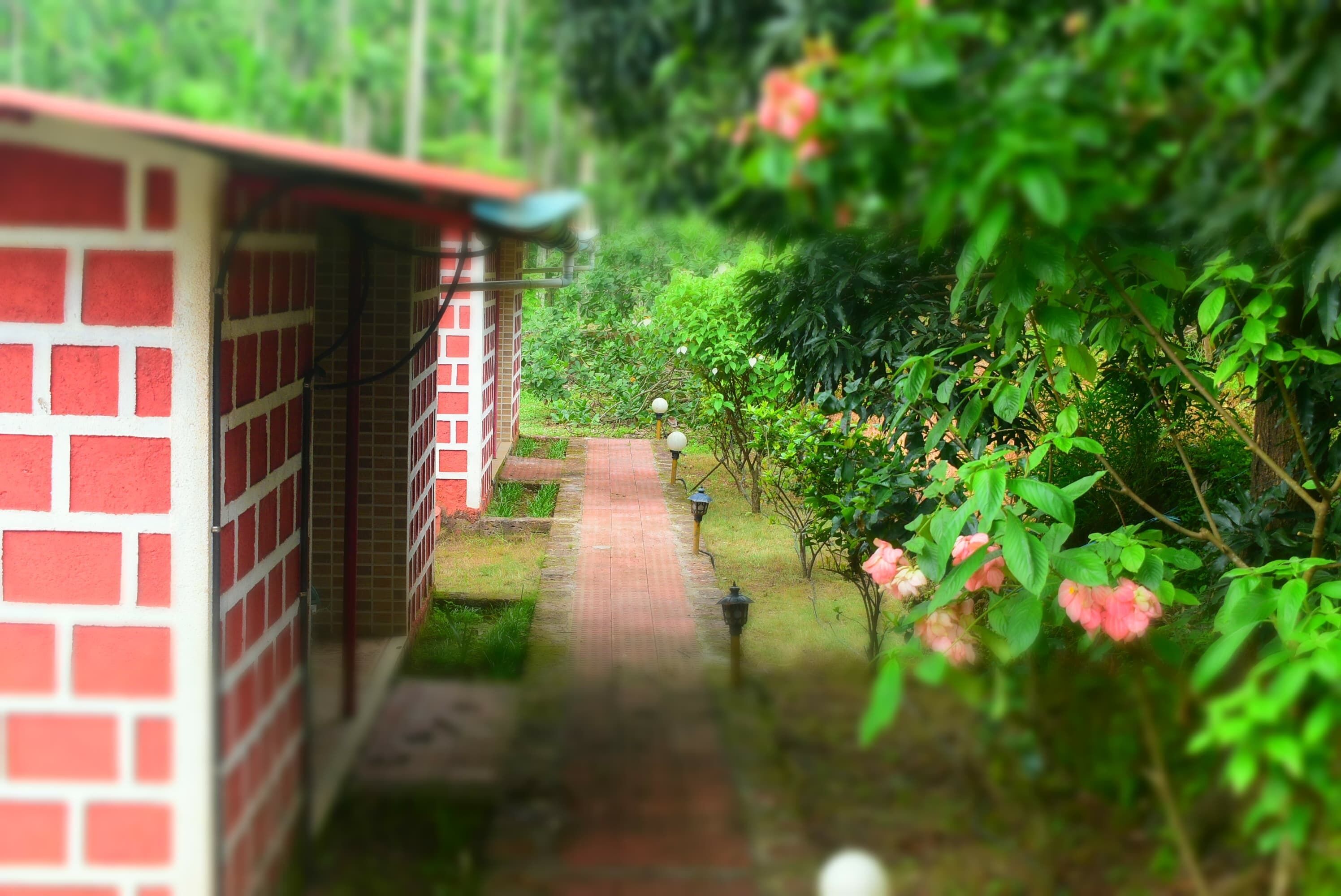 A brick pathway leading to a building with red and white walls, surrounded by lush greenery and pink flowers.