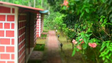 A brick pathway leading to a building with red and white walls, surrounded by lush greenery and pink flowers.
