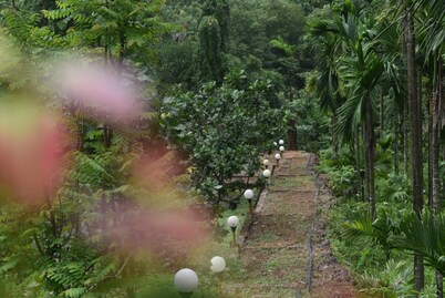 Riverstone Nature Resort