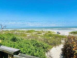 Plage, chaises longues, serviettes de plage