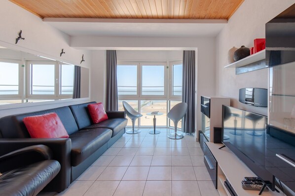 智能电视、DVD 播放器