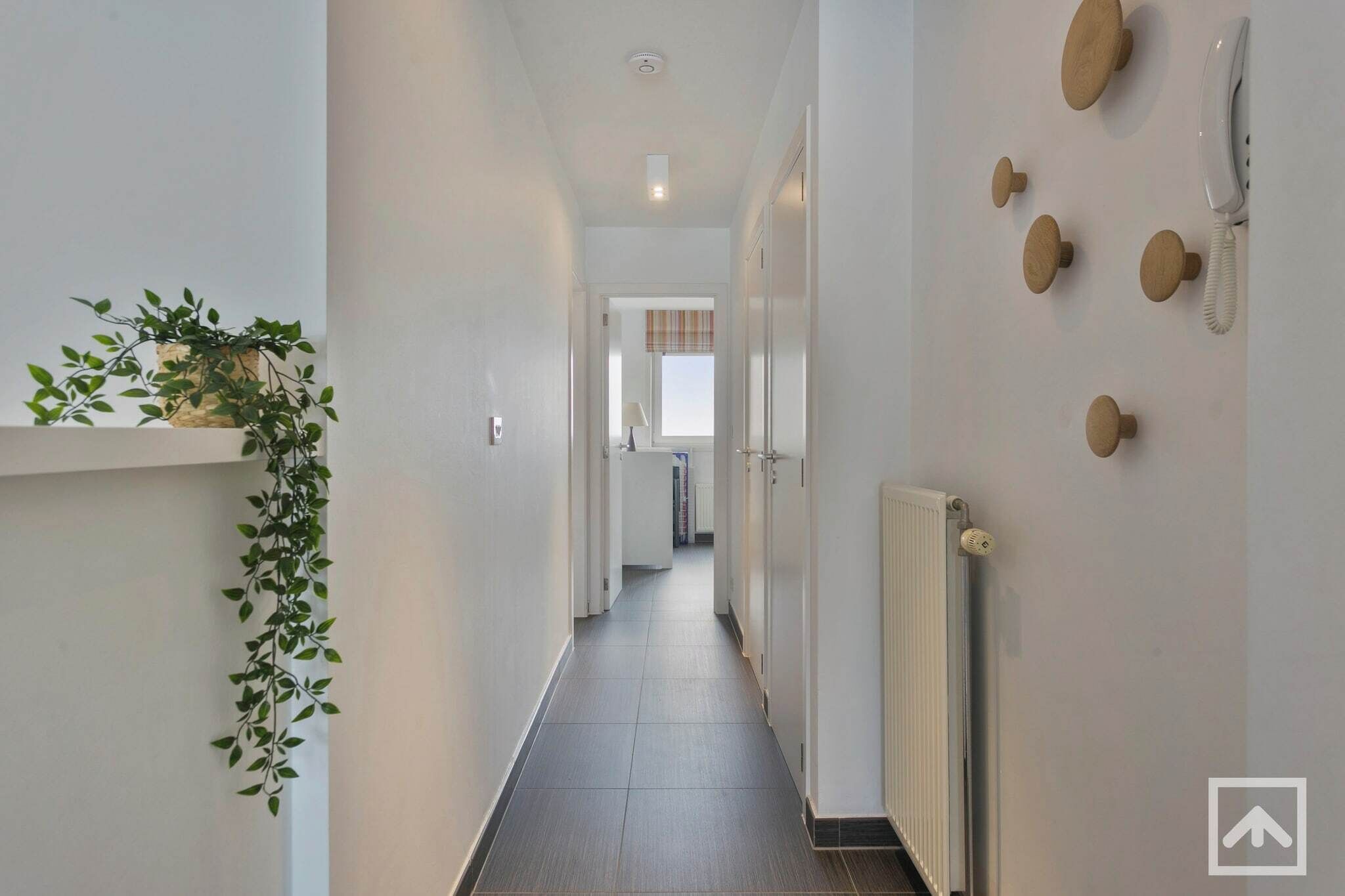 Un couloir étroit avec un radiateur, une plante suspendue et un téléphone fixé au mur.
