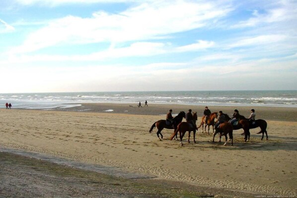 Una playa cerca