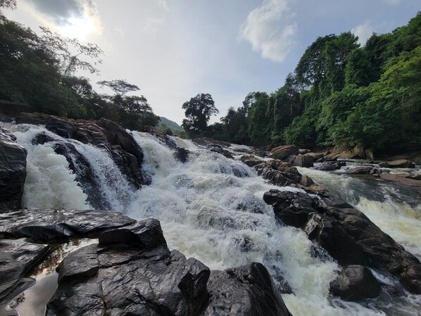 Cascada en la piscina