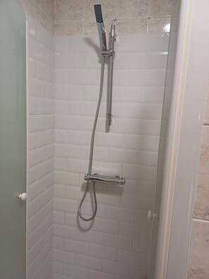 Shower, hair dryer, towels, toilet paper