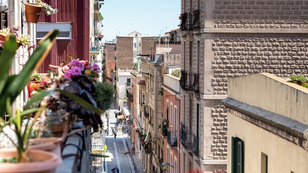 A narrow street with buildings on both sides, potted plants on balconies, and a clear blue sky. - Cozy and quiet apartment (Barcelona)