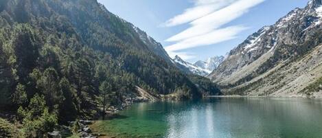 Ein Bergsee mit klarem Wasser, umgeben von bewaldeten Hügeln und blauem Himmel.