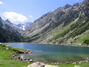 Miscelánea
