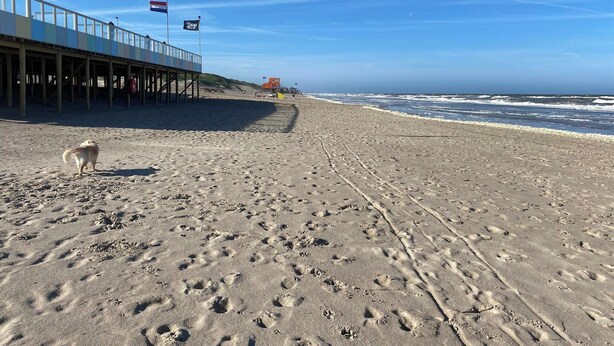 A beach with a pier, a lifeguard tower, and a dog walking on the sand. - Idyllic Coastal Base w/ Garden (Callantsoog)
