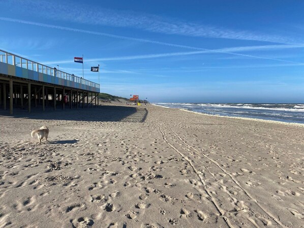 Ferienhaus | Blick von der Unterkunft