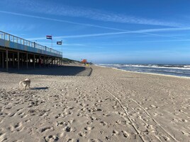Vista desde la propiedad