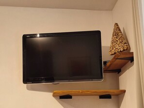 Television