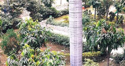"Relaxing Room in Varanasi – Ideal for Solo Travelers or Couples"